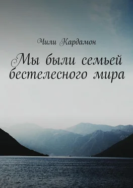 Чили Кардамон Мы были семьей бестелесного мира обложка книги