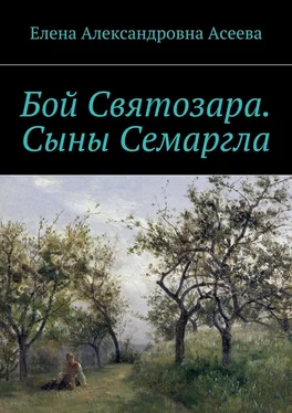 Елена Асеева Бой Святозара. Сыны Семаргла обложка книги