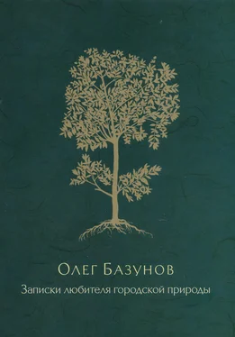 Олег Базунов Записки любителя городской природы обложка книги