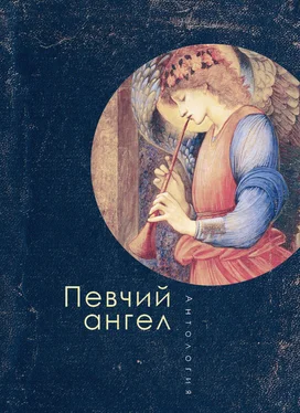 Array Антология Певчий ангел обложка книги