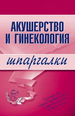 Неизвестный Автор Акушерство и гинекология обложка книги