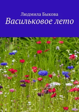 Людмила Быкова Васильковое лето обложка книги