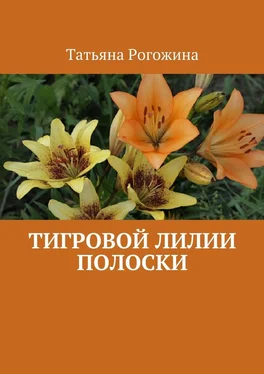 Татьяна Рогожина Тигровой лилии полоски обложка книги