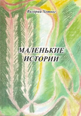 Валерий Хотног Маленькие истории обложка книги