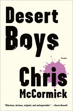 Chris McCormick Desert Boys обложка книги