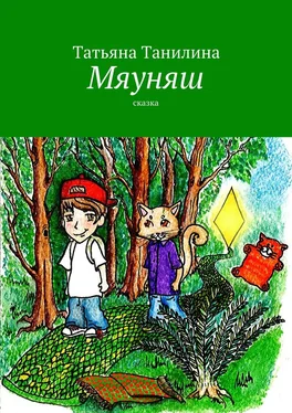 Татьяна Танилина Мяуняш обложка книги