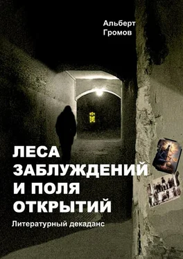 Альберт Громов Леса заблуждений и поля открытий обложка книги