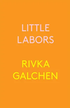 Rivka Galchen Little Labors обложка книги