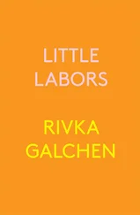Rivka Galchen - Little Labors