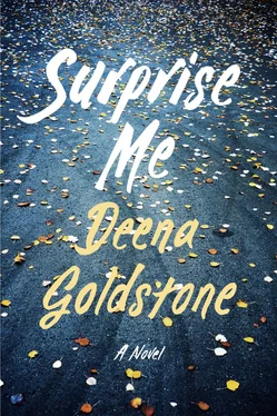 Deena Goldstone Surprise Me