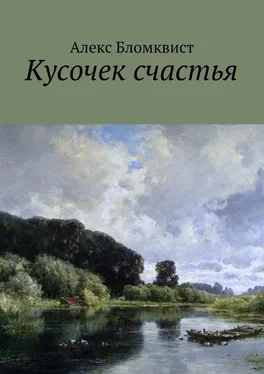 Алекс Бломквист Кусочек счастья обложка книги