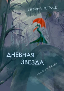 Евгений Петраш Дневная звезда обложка книги