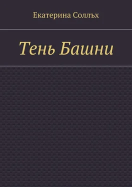 Екатерина Соллъх Тень Башни обложка книги