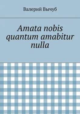 Валерий Вычуб Amata nobis quantum amabitur nulla обложка книги