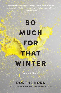 Dorthe Nors So Much for That Winter обложка книги