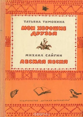 Татьяна Тимохина Мои хорошие друзья. Лесная песня обложка книги