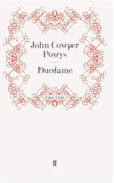 John Powys Ducdame обложка книги