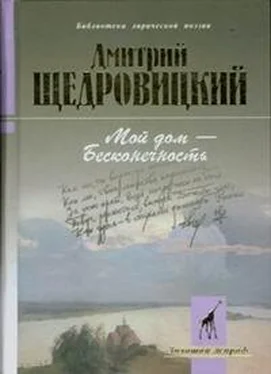 Дмитрий Щедровицкий Мой дом – бесконечность обложка книги