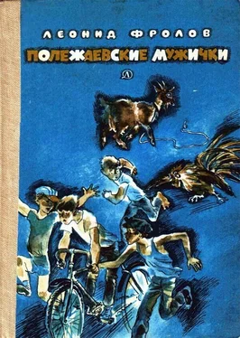 Леонид Фролов Полежаевские мужички обложка книги