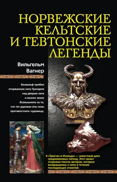 Вильгельм Вагнер Норвежские, кельтские и тевтонские легенды обложка книги