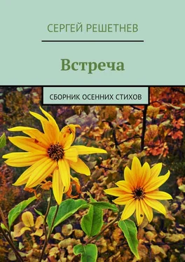 Сергей Решетнёв Встреча обложка книги