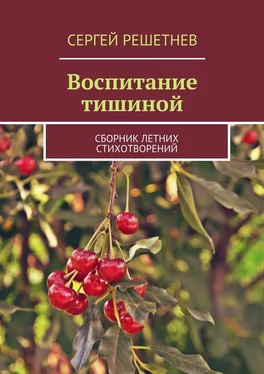 Сергей Решетнёв Воспитание тишиной обложка книги