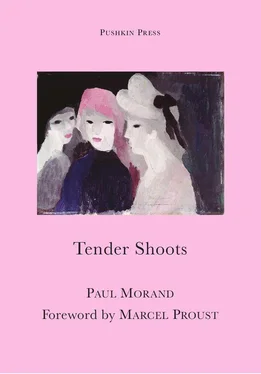 Paul Morand Tender Shoots обложка книги