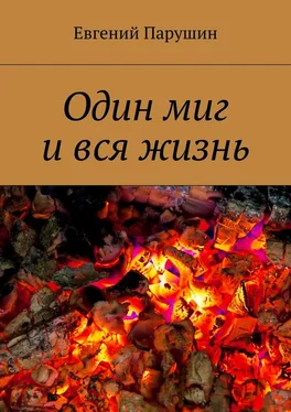 Евгений Парушин Один миг и вся жизнь обложка книги