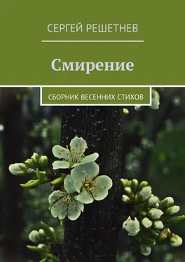 Сергей Решетнёв Смирение обложка книги