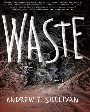 Andrew Sullivan Waste обложка книги