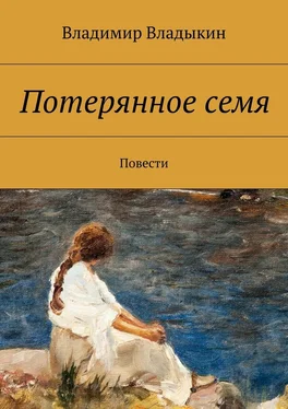 Владимир Владыкин Потерянное семя обложка книги