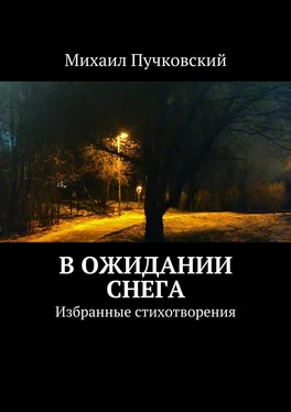 Михаил Пучковский В ожидании снега обложка книги