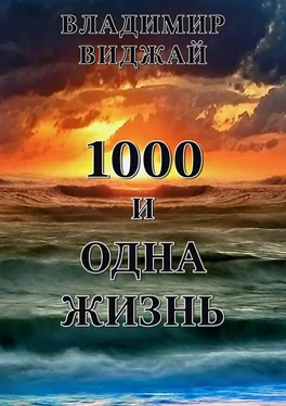 Владимир Виджай 1000 и одна жизнь обложка книги