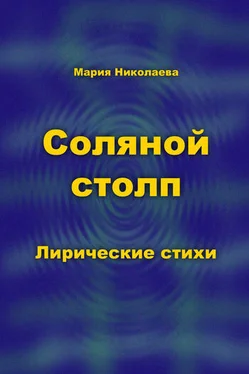 Мария Николаева Соляной столп обложка книги