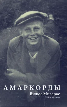 Вилюс Мизарас Амаркорды (сборник) обложка книги