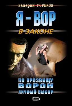 Валерий Горшков Личный выбор обложка книги