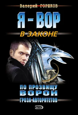 Валерий Горшков Гроза авторитетов обложка книги