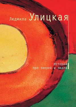 Людмила Улицкая История о старике Кулебякине, плаксивой кобыле Миле и жеребенке Равкине обложка книги