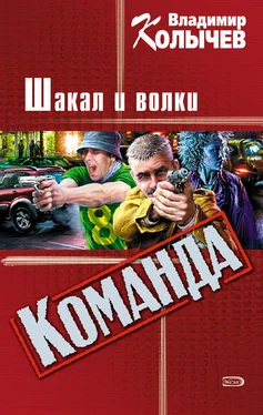 Владимир Колычев Шакал и волки обложка книги