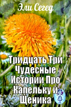 Эли Сегед Тридцать три чудесные истории про Капельку и Щеника обложка книги