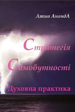 Атма Ананда Стратегія самобутності обложка книги