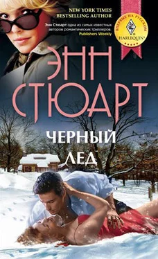 Энн Стюарт Черный лед обложка книги