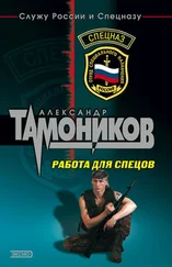 Александр Тамоников - Работа для спецов