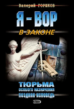 Валерий Горшков Поздняя исповедь обложка книги