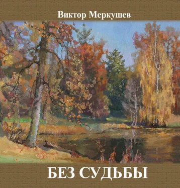 Виктор Меркушев Без судьбы (сборник) обложка книги