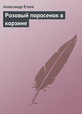 Александр Етоев Розовый поросенок в корзине обложка книги