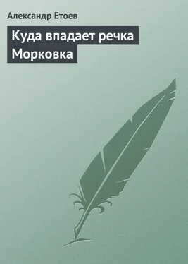 Александр Етоев Куда впадает речка Морковка обложка книги