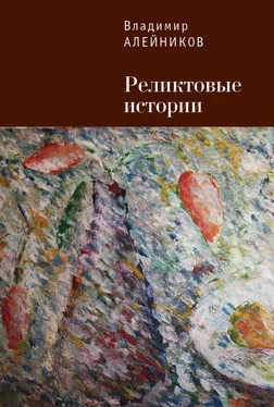 Владимир Алейников Реликтовые истории обложка книги