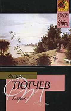 Федор Тютчев Лирика обложка книги