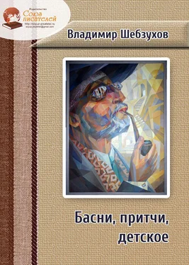 Владимир Шебзухов Басни, притчи, детское обложка книги